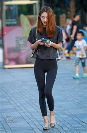 萌犬一只pr18