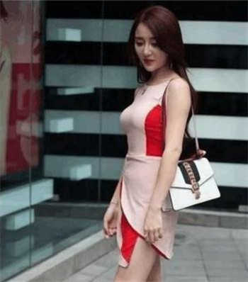 求网址2019